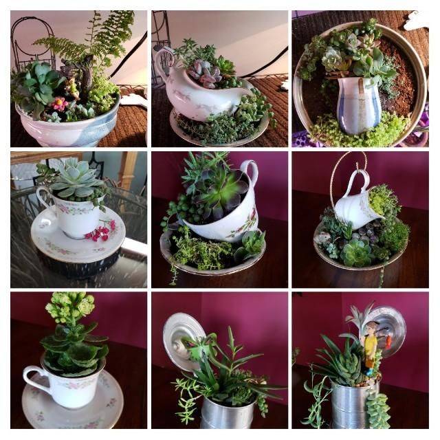 My Mountain Crest Gardens Customer Experience