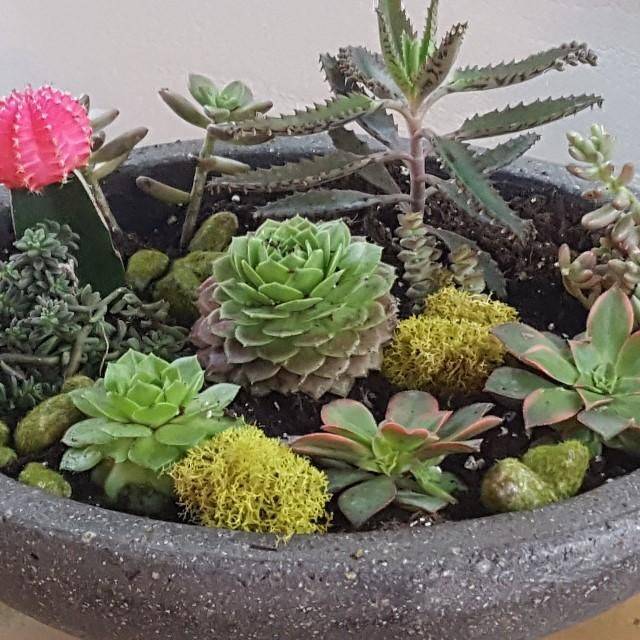 Mountain Crest Gardens Customer Experience Gallery