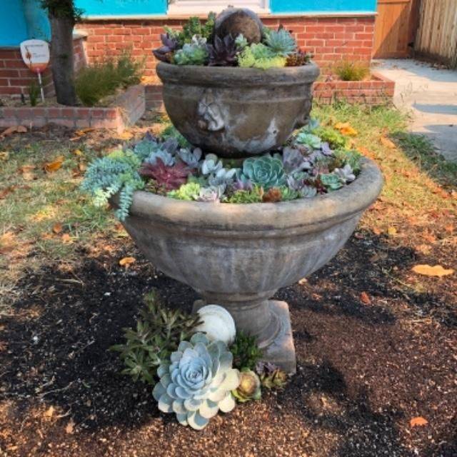 Mountain Crest Gardens Customer Experience Gallery