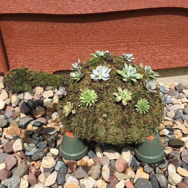 Mountain Crest Gardens Customer Experience Gallery Garden Projects