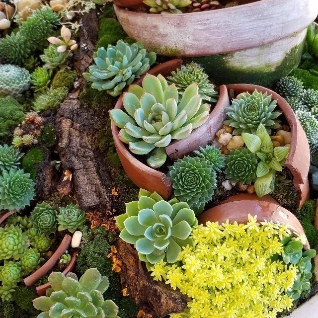 Mountain Crest Gardens Customer Experience Gallery Garden Projects