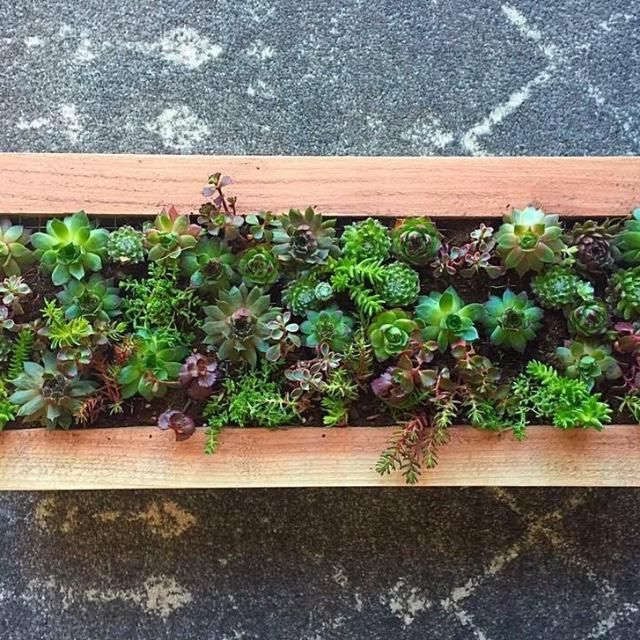 Mountain Crest Gardens