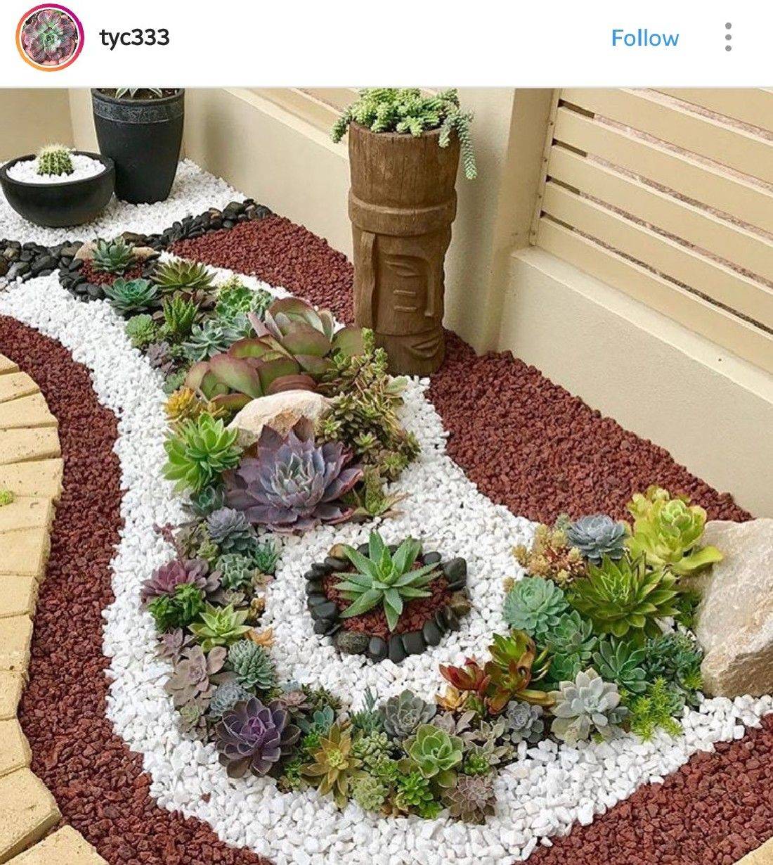 Beautiful Cactus Garden Ideas