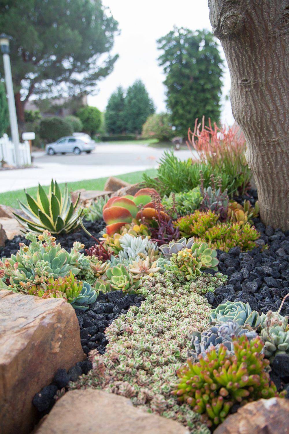 Beautiful Front Yard Rock Garden Landscaping Ideas Succulent Rock