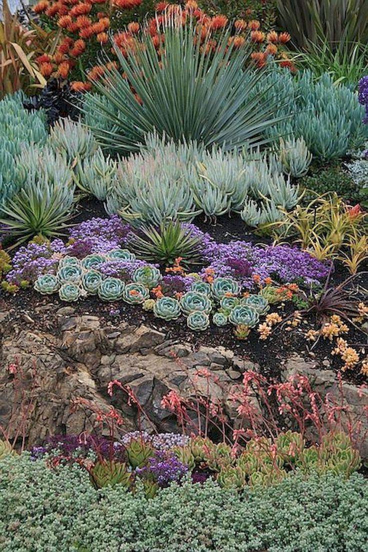 Gorgeous Succulent Garden Ideas