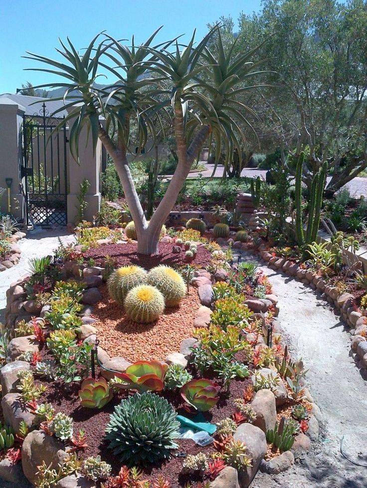 Impressive Front Succulent Garden Ideas