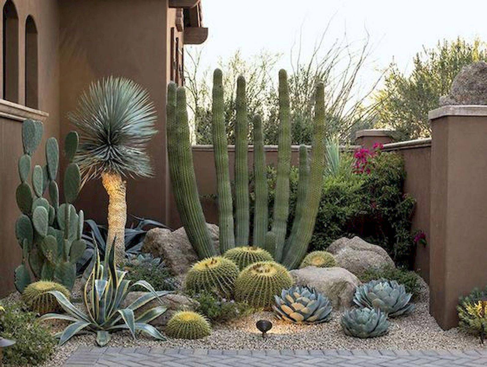 Stacked Cactus Garden Ideas Photograph