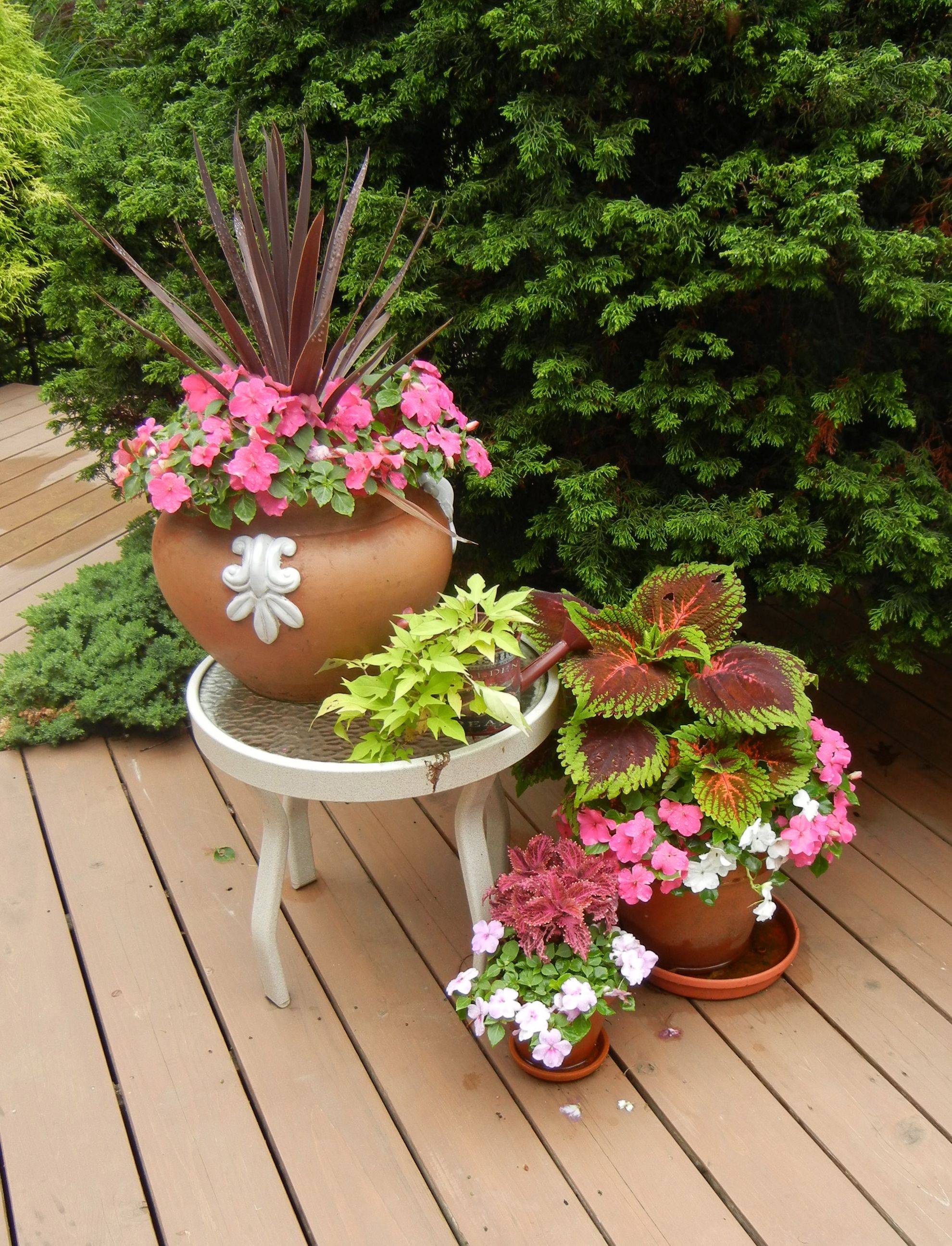 Awesome Container Garden Flowers Ideas