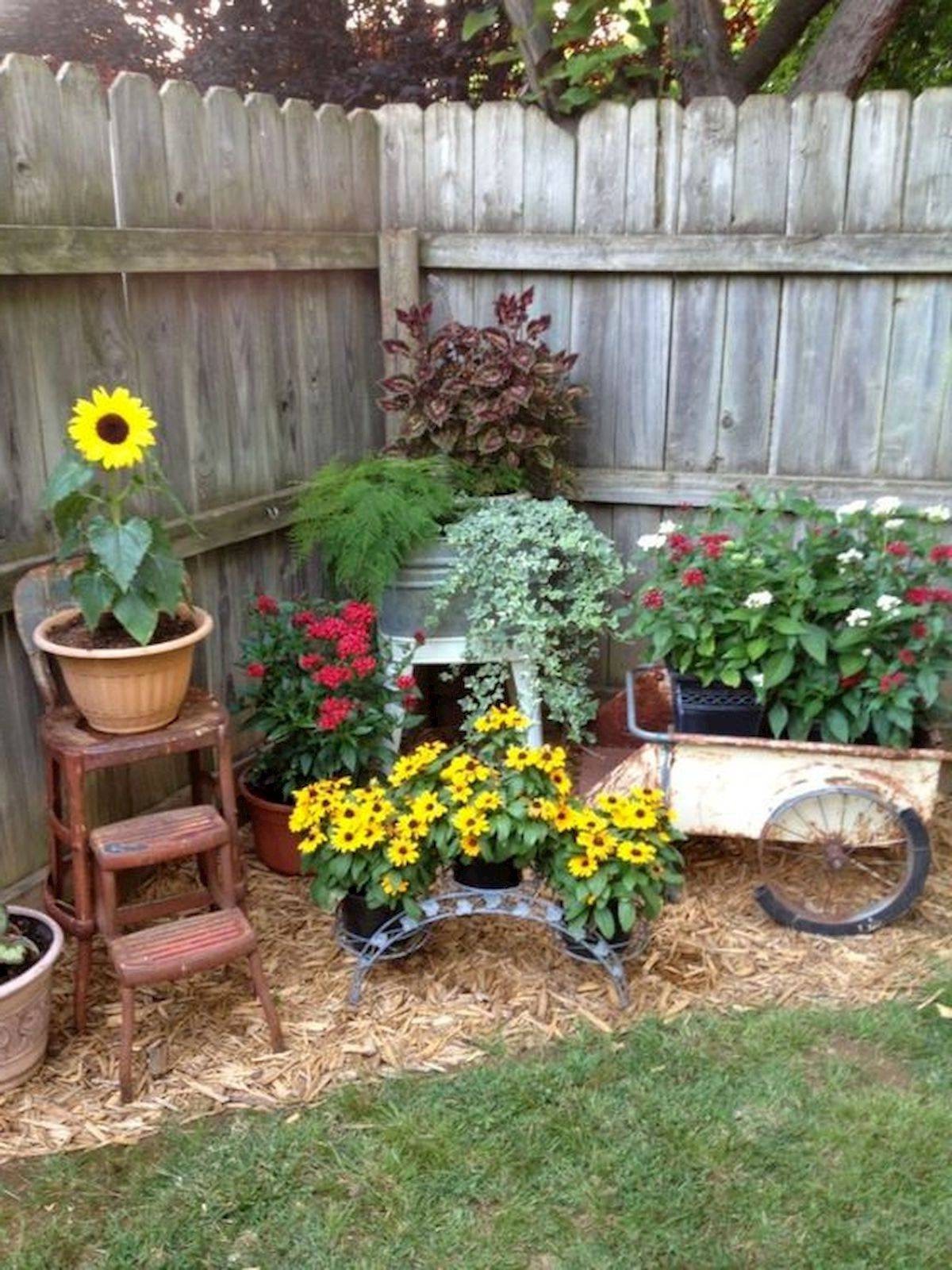Summer Container Garden