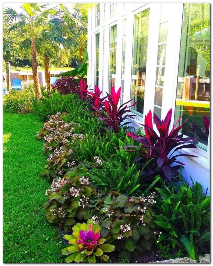 Planter Container Gardening Gardens Plant Shops Palm Harbor Florida