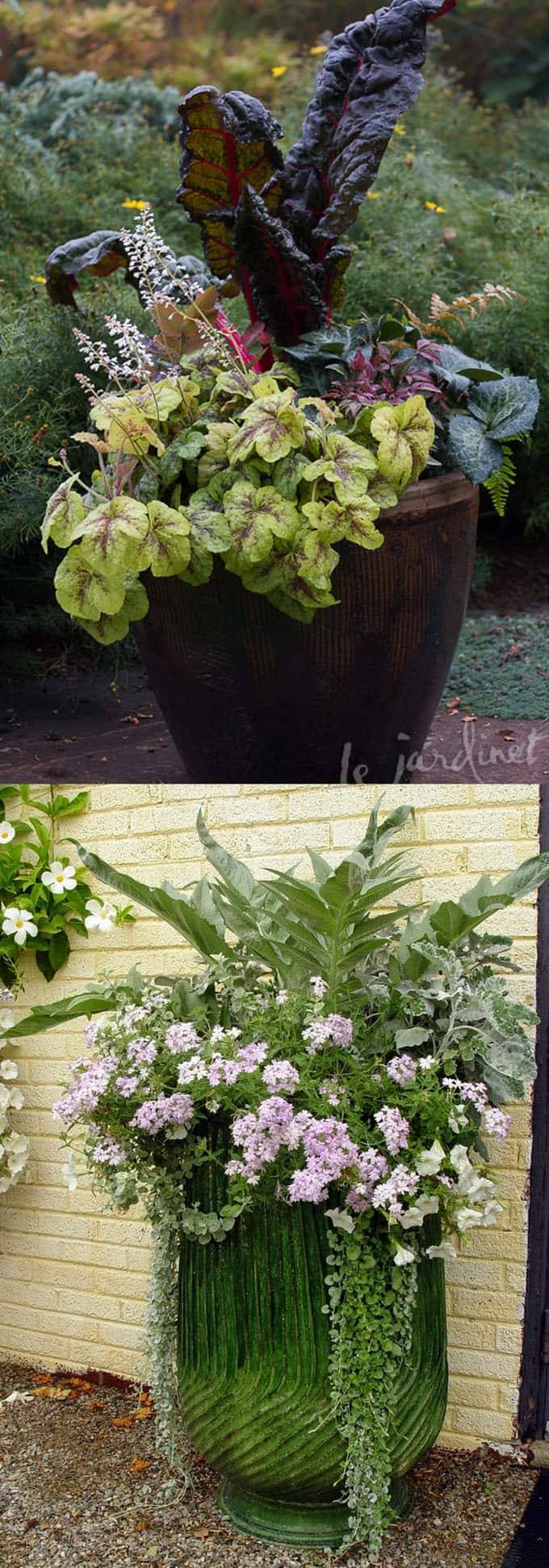 Lovely Combination Planting Container Gardening Ideas Homyhomee