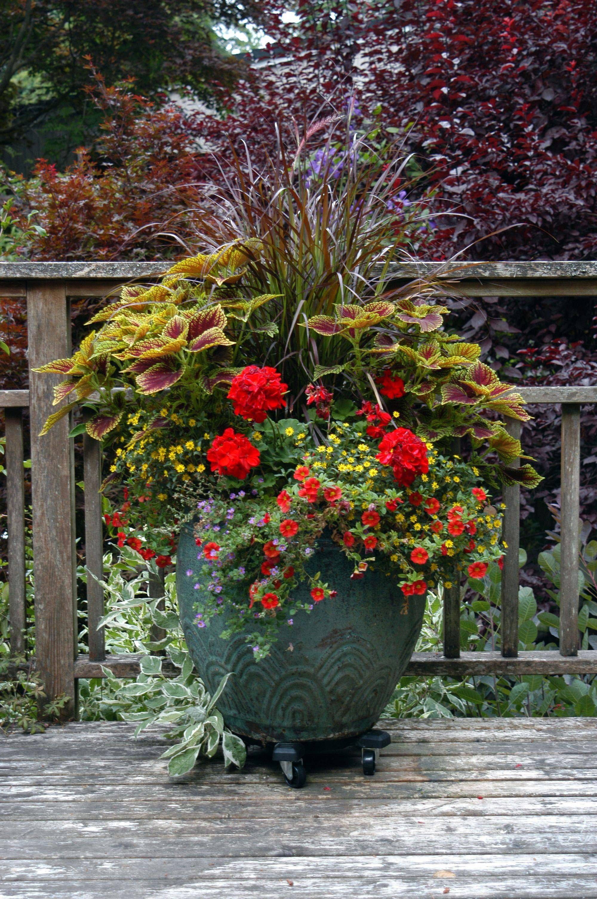 Pretty Container Gardens