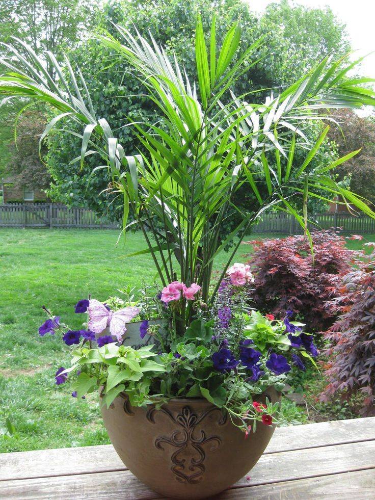 Easy And Fresh Spring Container Garden Flowers Ideas