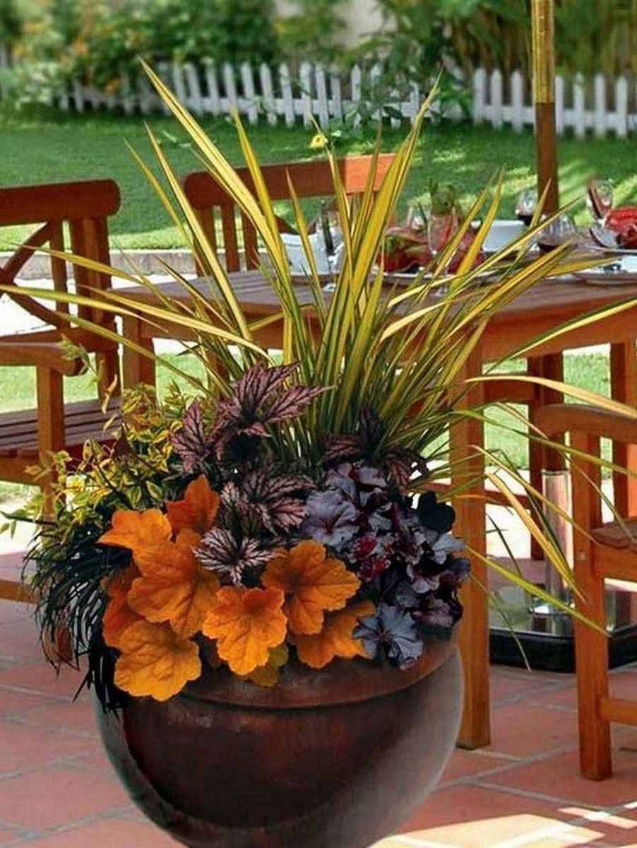 Small Garden Landscape Container Plants