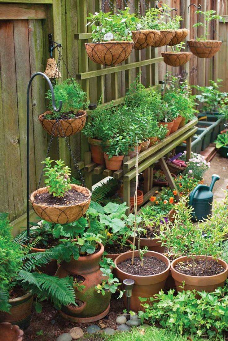 Best Patio Container Garden Design Ideas