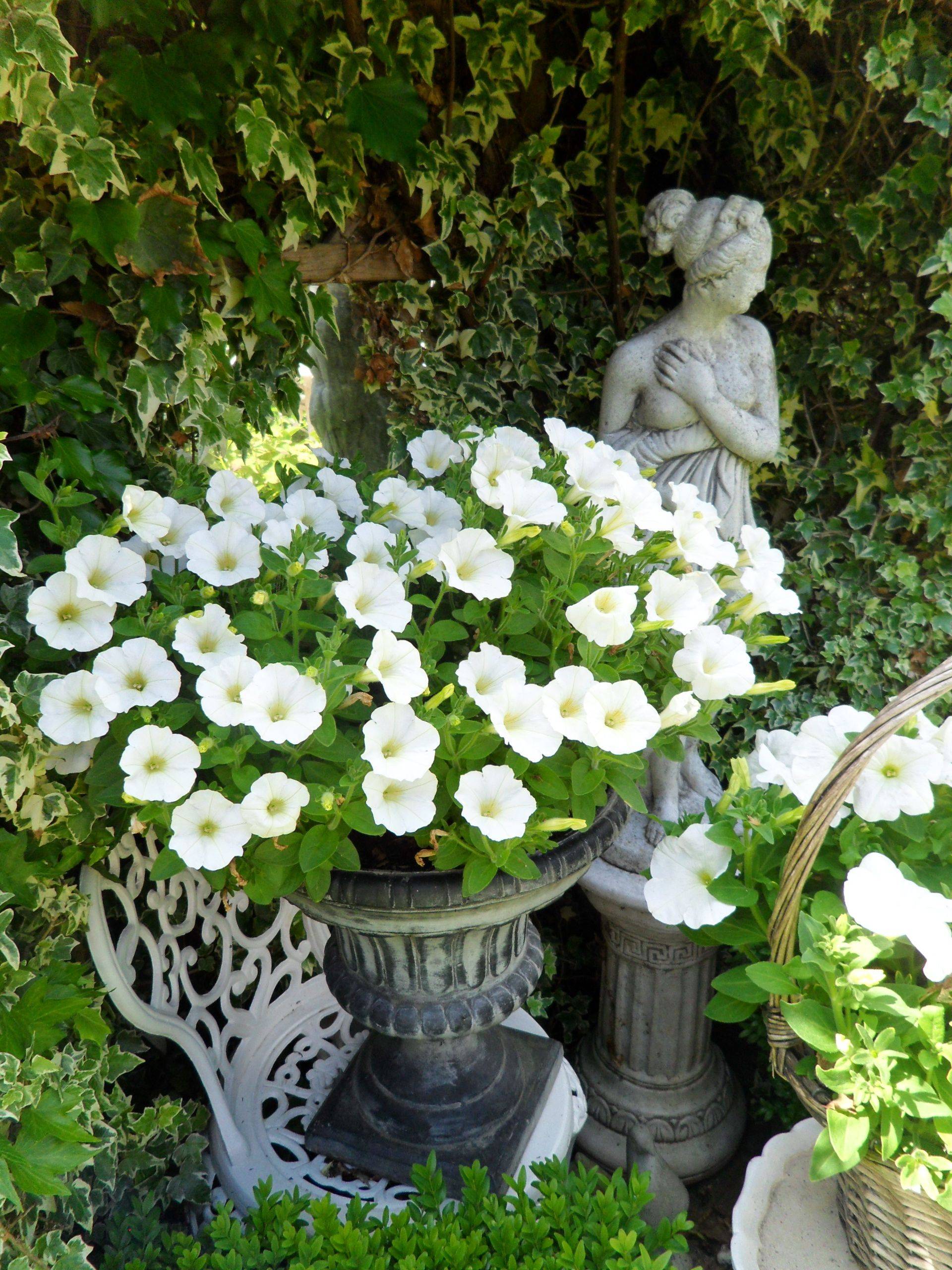 Creative And Trendy Container Garden Ideas Youll Love To Follow