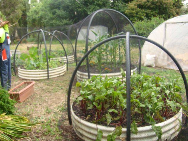 Lowcost Diy Gardening Projects