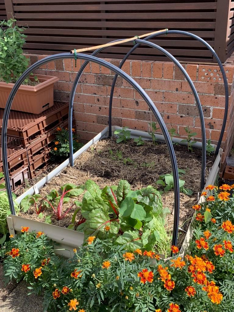 Lowcost Diy Gardening Projects