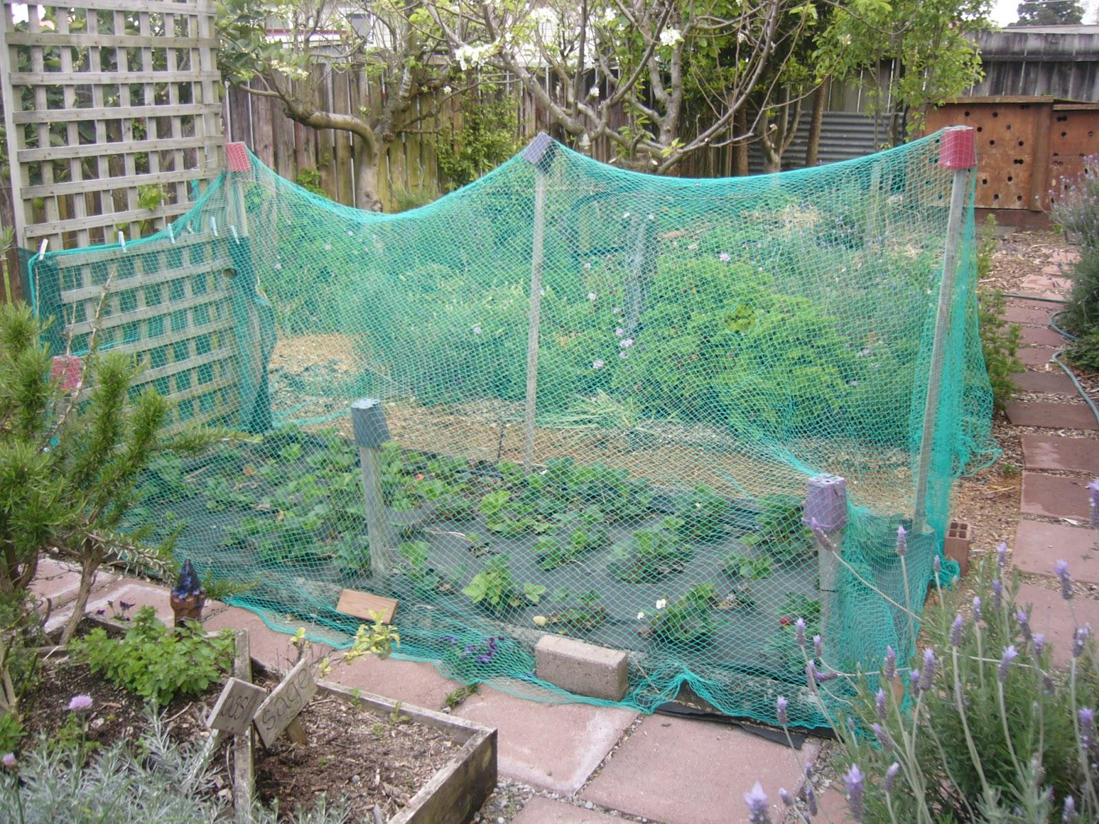 18 Garden Net Ideas Worth to Check SharonSable