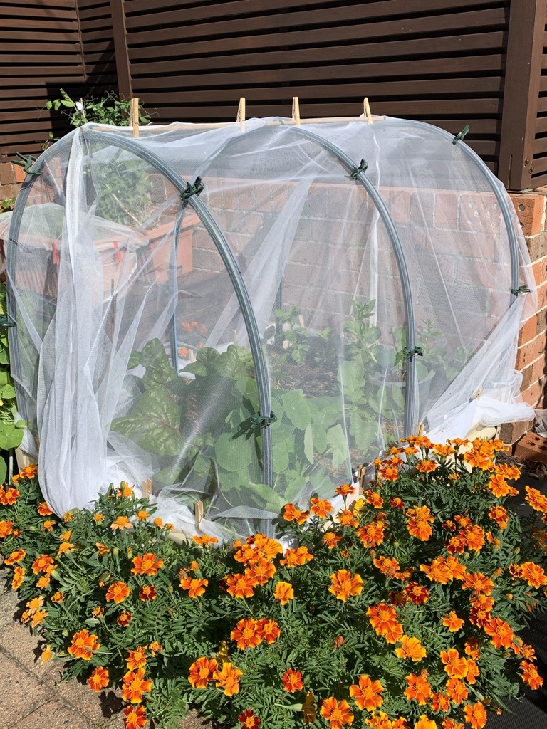 Landscape Nursery Port St Lucie Fl Vegetable Garden Netting Protection