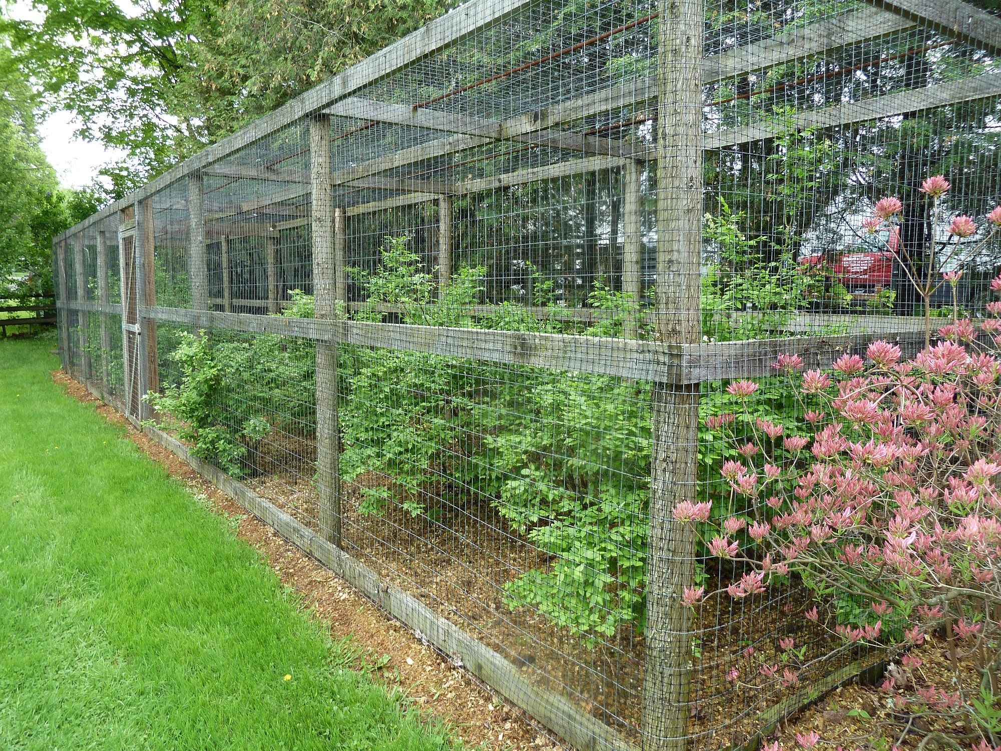 Vegetable Garden Netting Bunnings