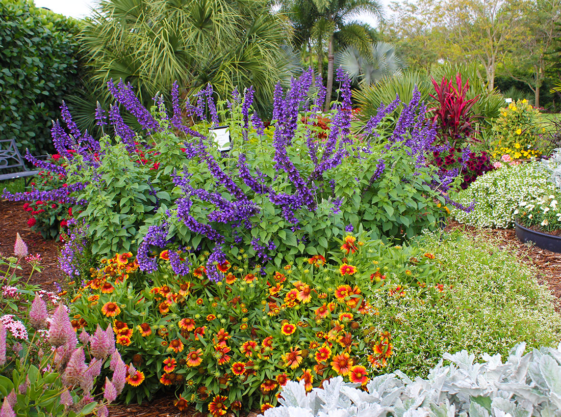 Easycare Flower Bed Ideas Sunset Sunset Magazine