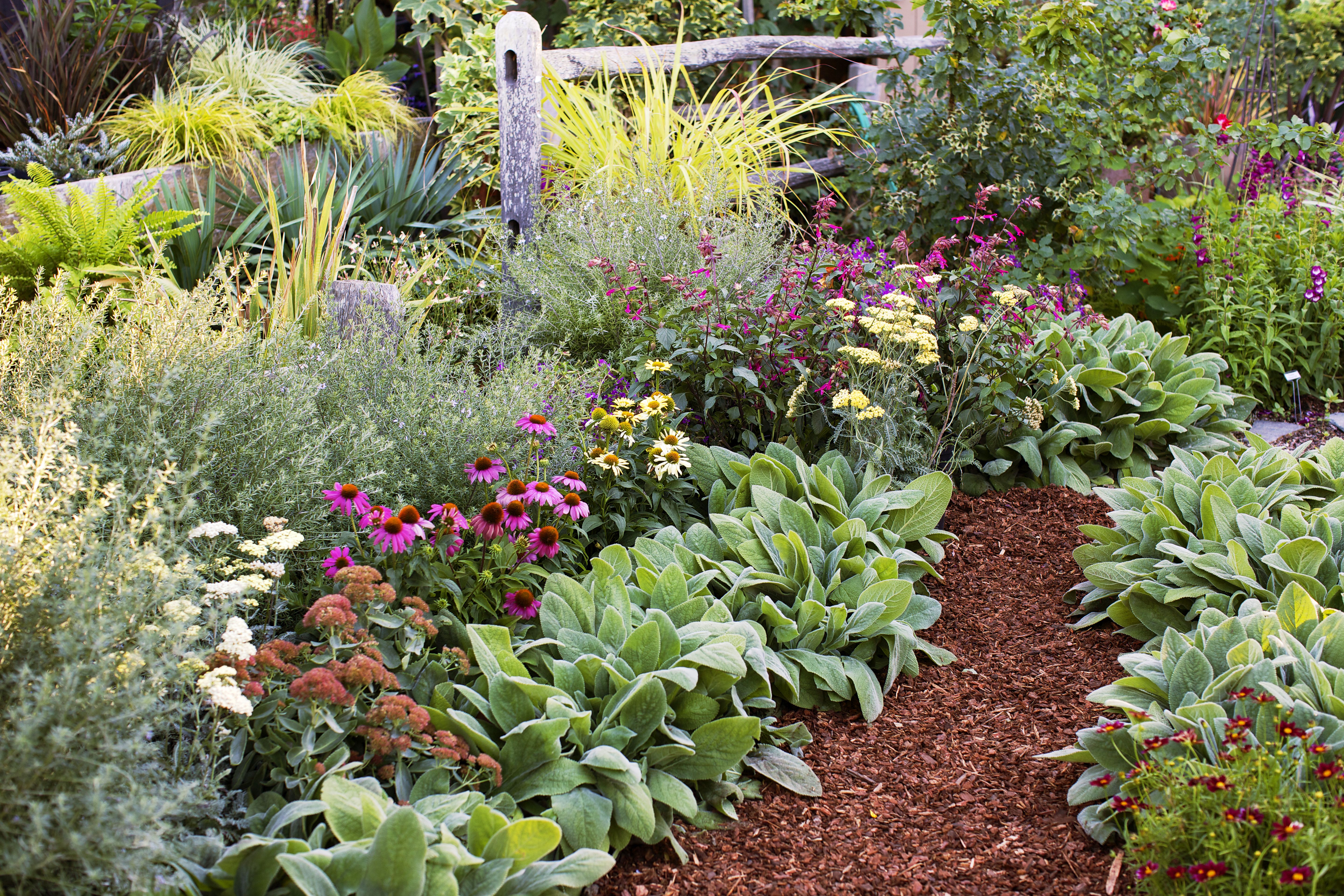 Easycare Garden Beds
