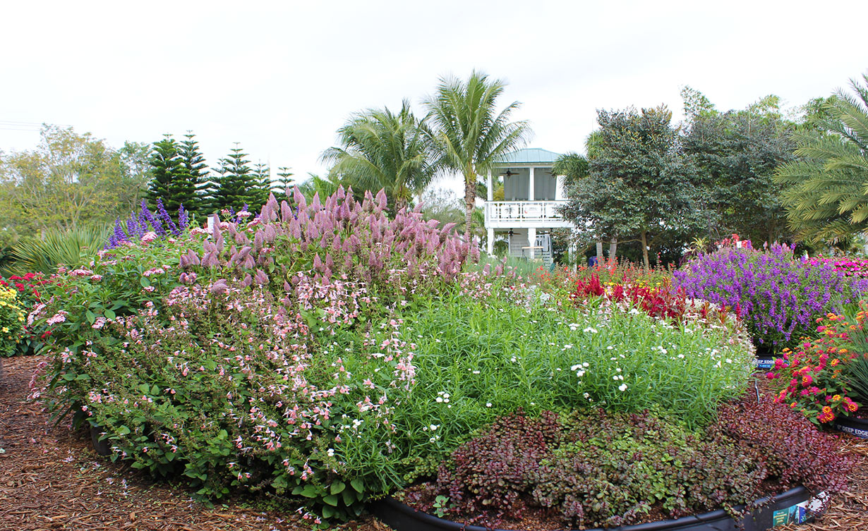 Landscaping Ideas Landscape Patio Small
