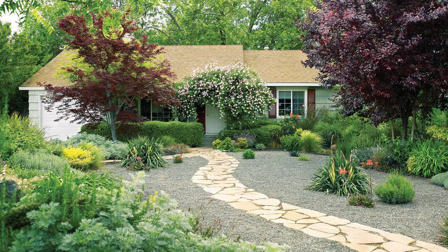 Patio Backyard Cheap Border Low Maintenance Garden Ideas