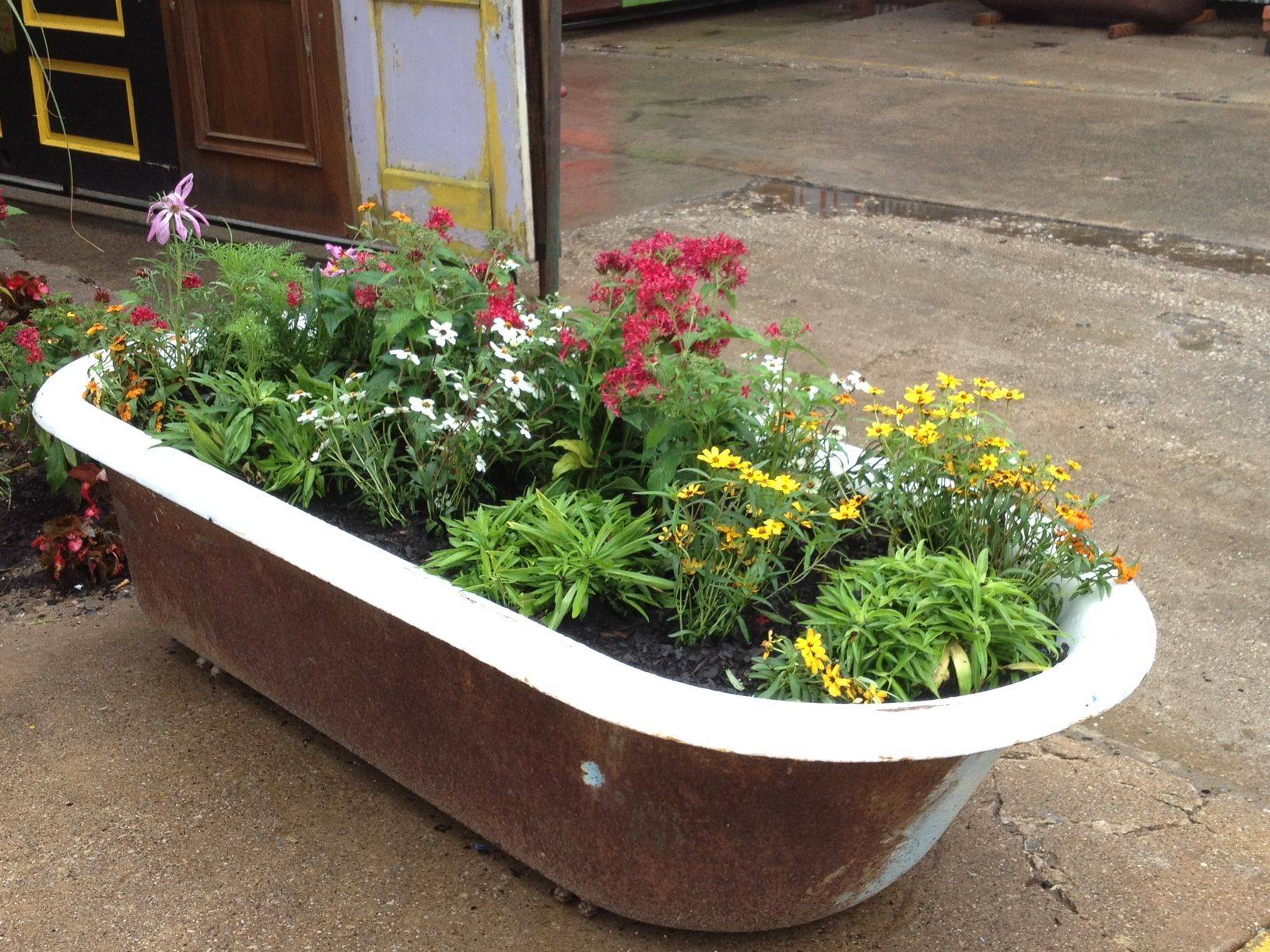 Best Creative Garden Container Ideas