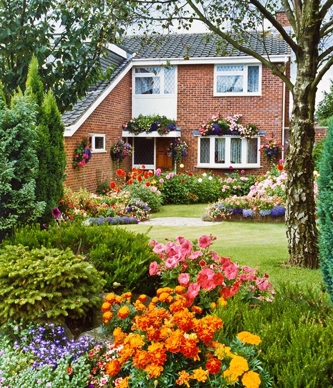 Your Perfect Home Garden Freshouz