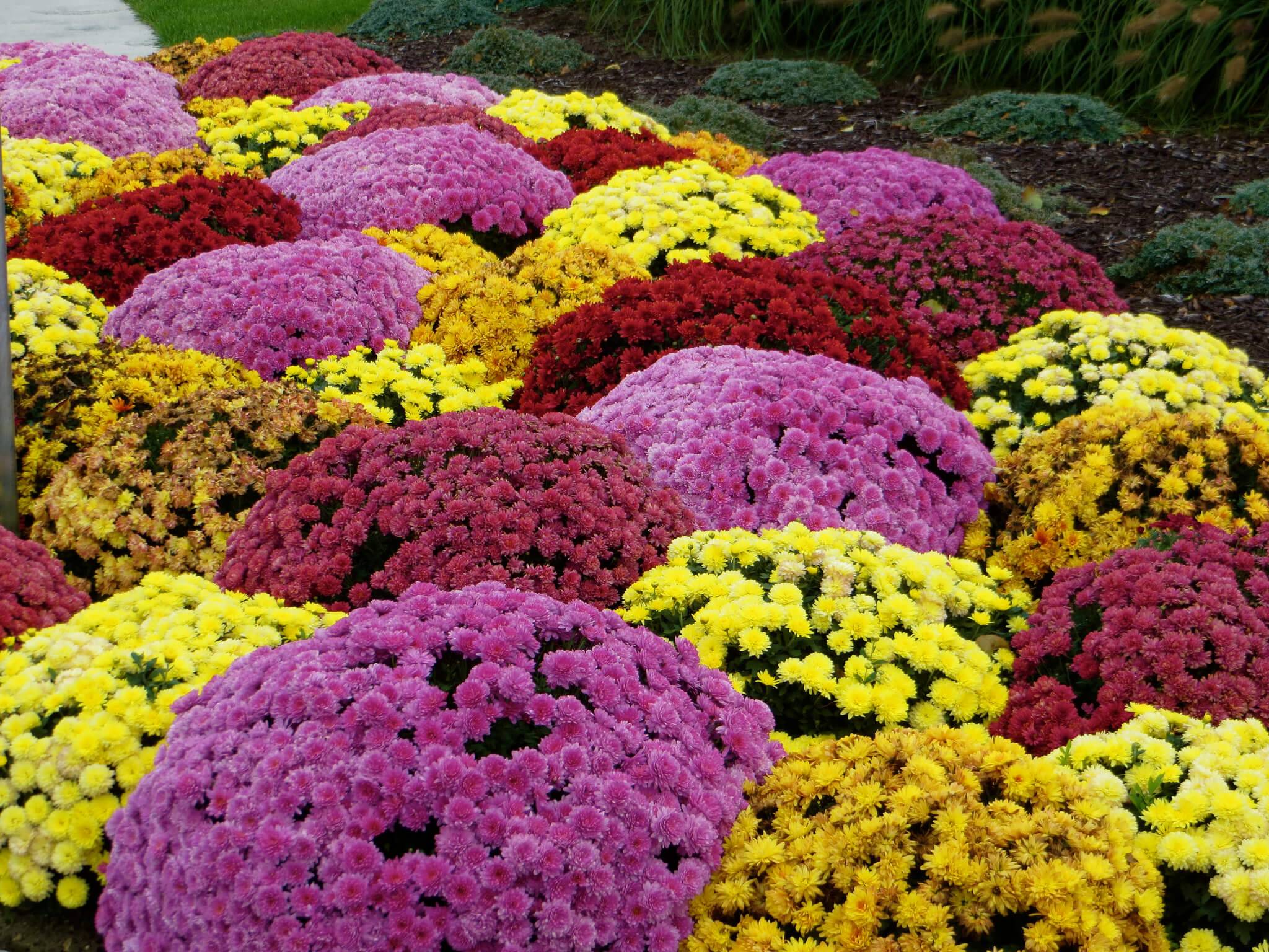 Fall Decor Ideas
