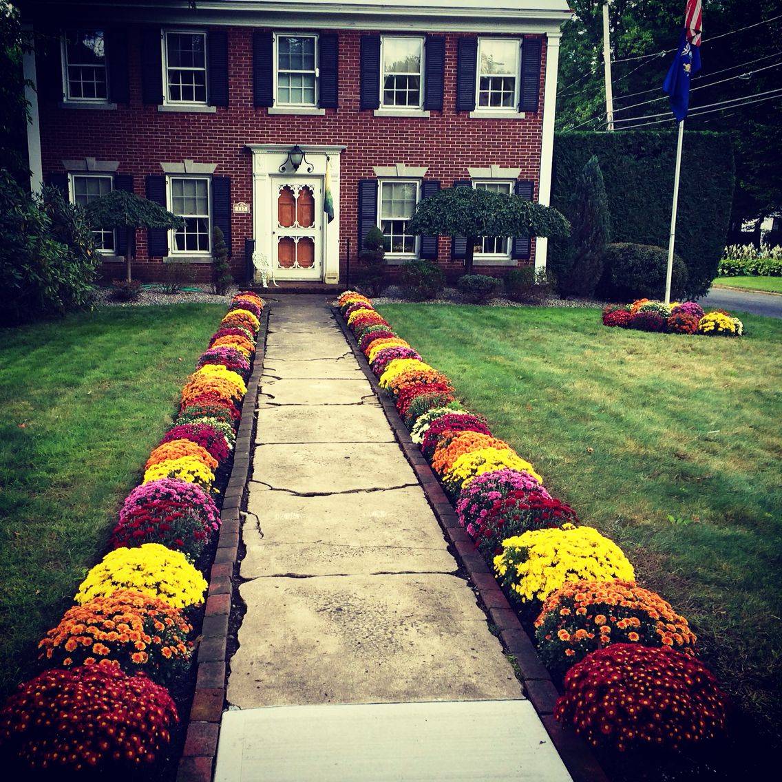 Fall Container Plants