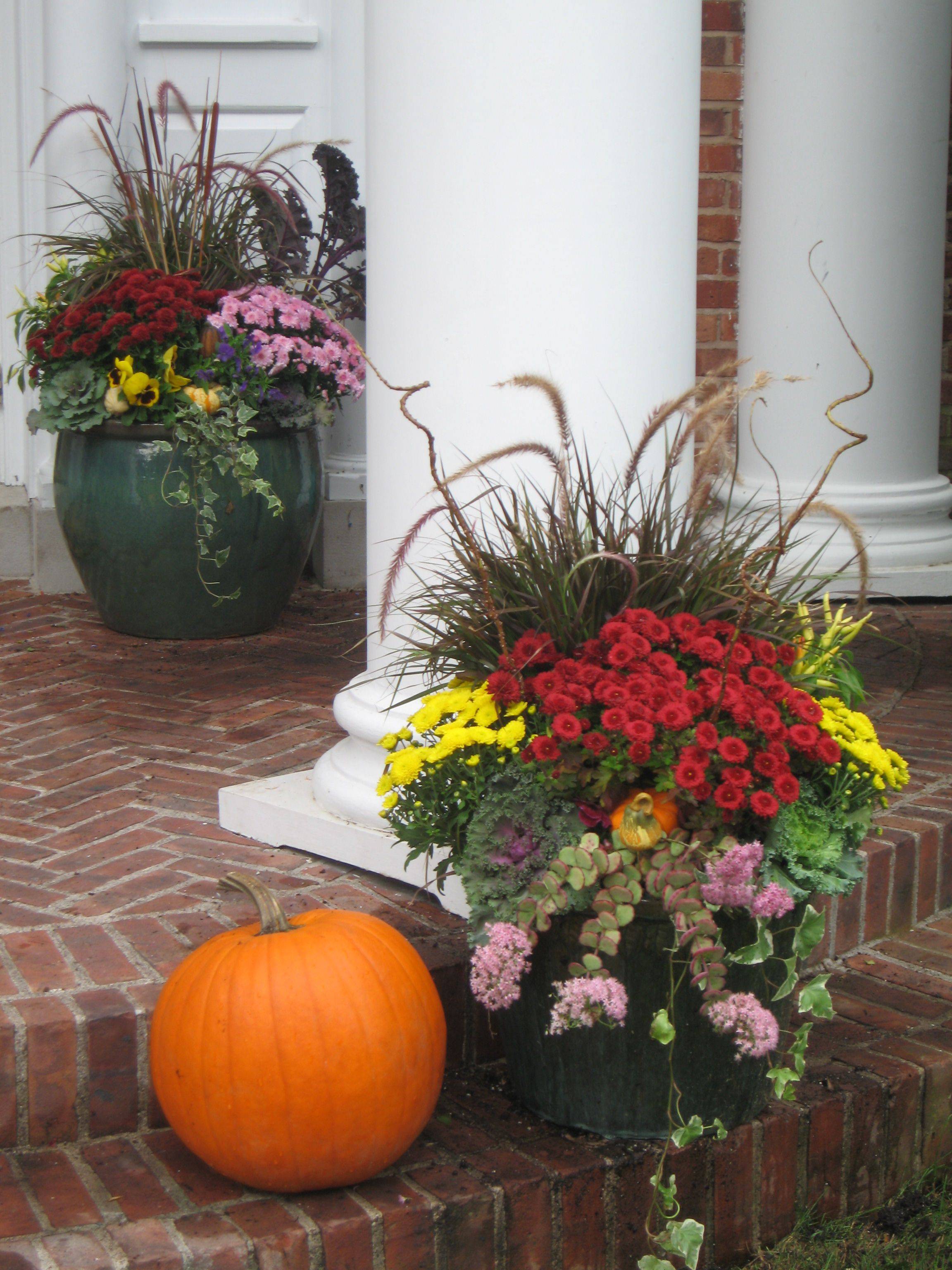 October Gardening Tips