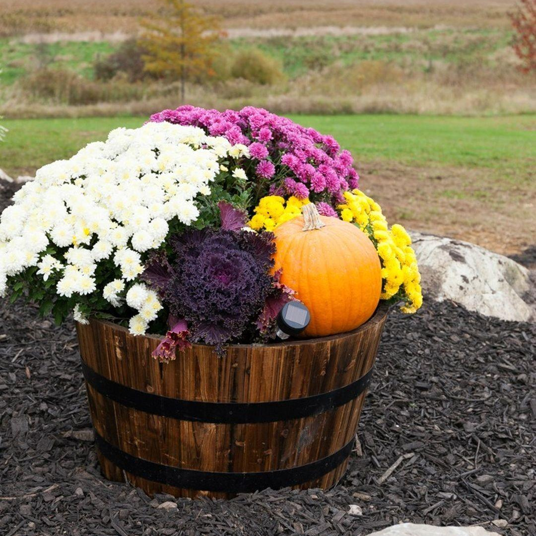 Simple Container Garden Flowers Ideas Fall Container Gardens