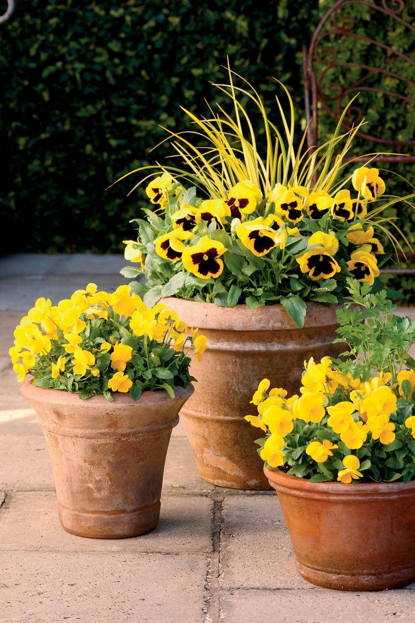 Easy But Creative Fall Garden Design Ideas