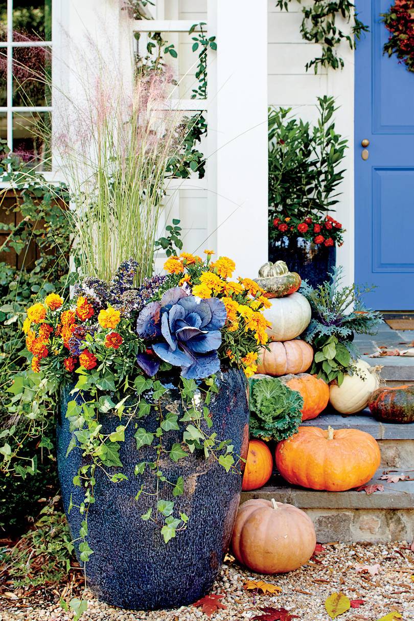 Mums Fall Landscaping