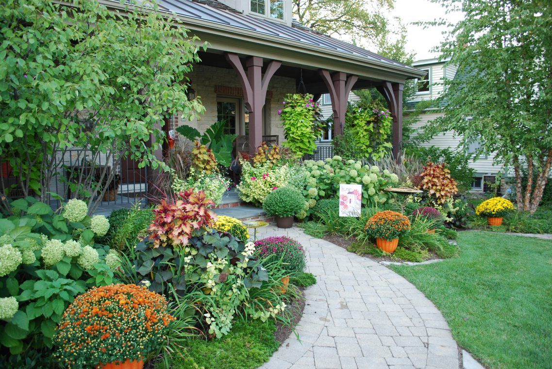Gardening Ideas