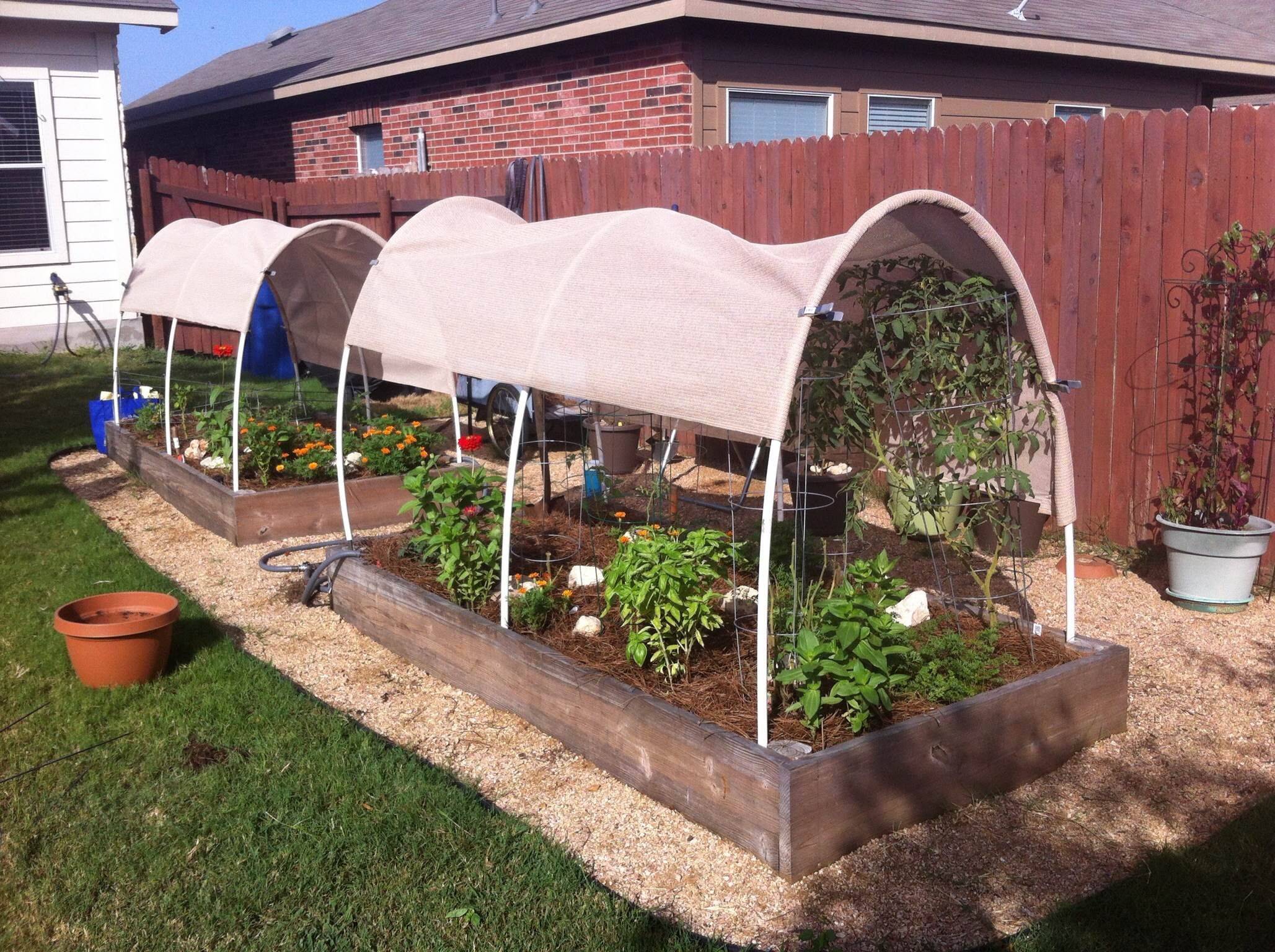 Vegetable Gardening Forum