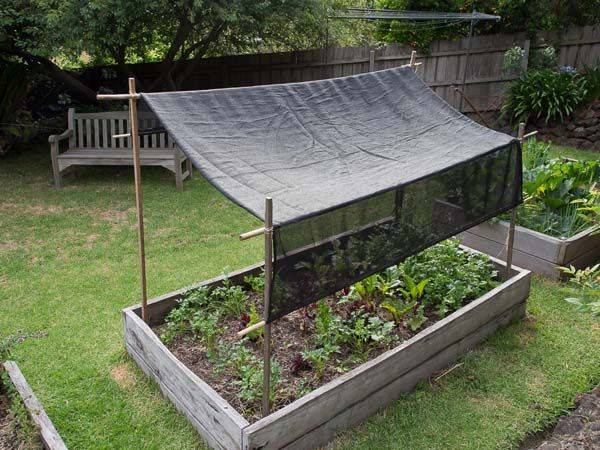 Best Top Shade Cloth Greenhouse Ideas