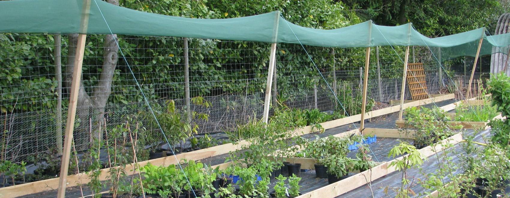 Garden Cover