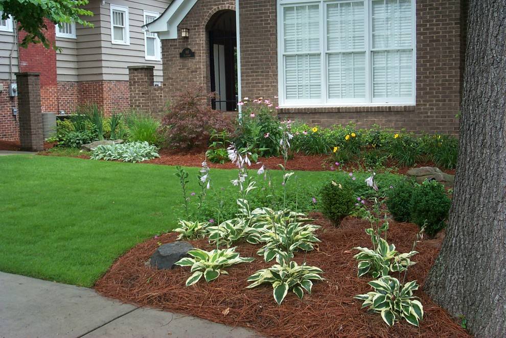 Shade Tolerant Plants