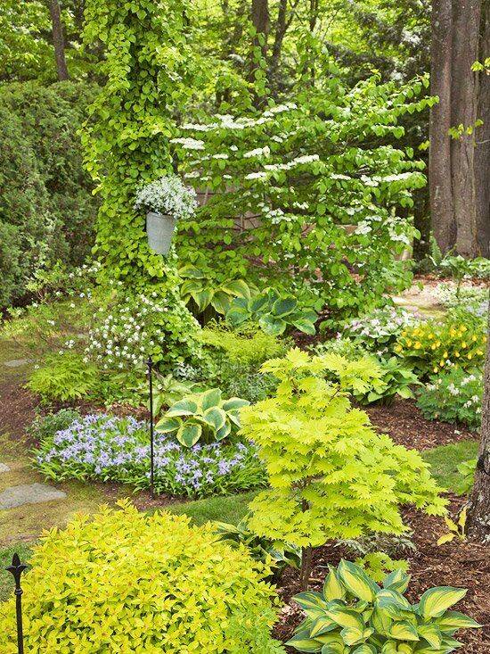 Inspiring Shade Garden Ideas