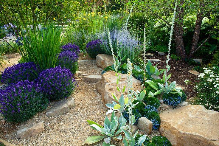 Shade Garden Design Ideas