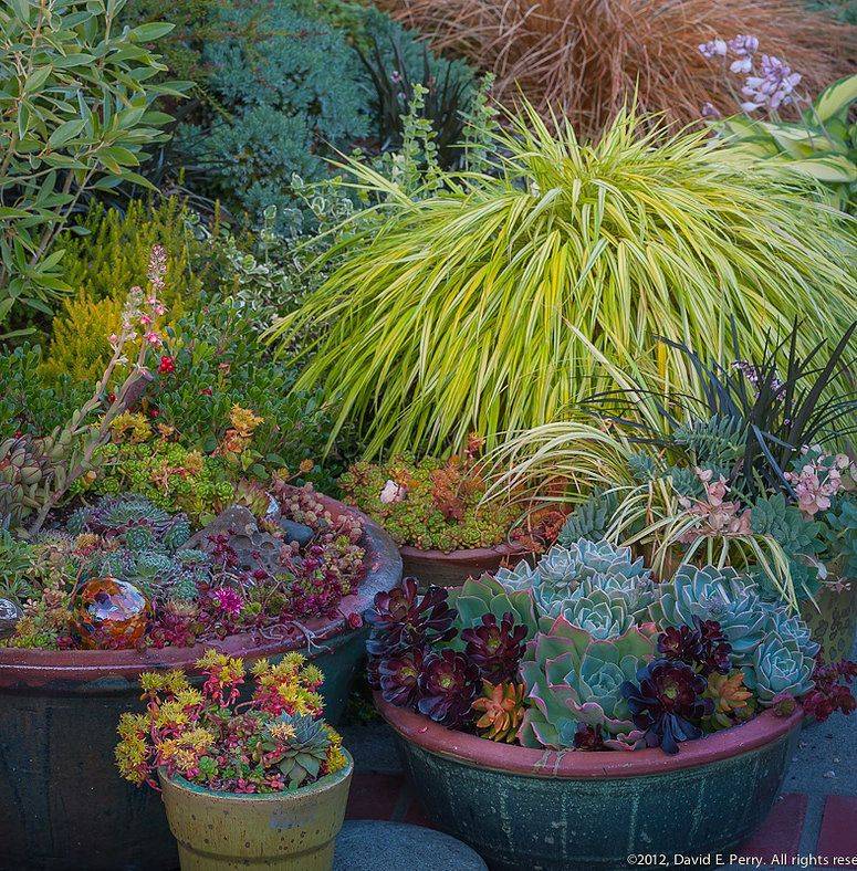 Great Shade Gardening Ideas