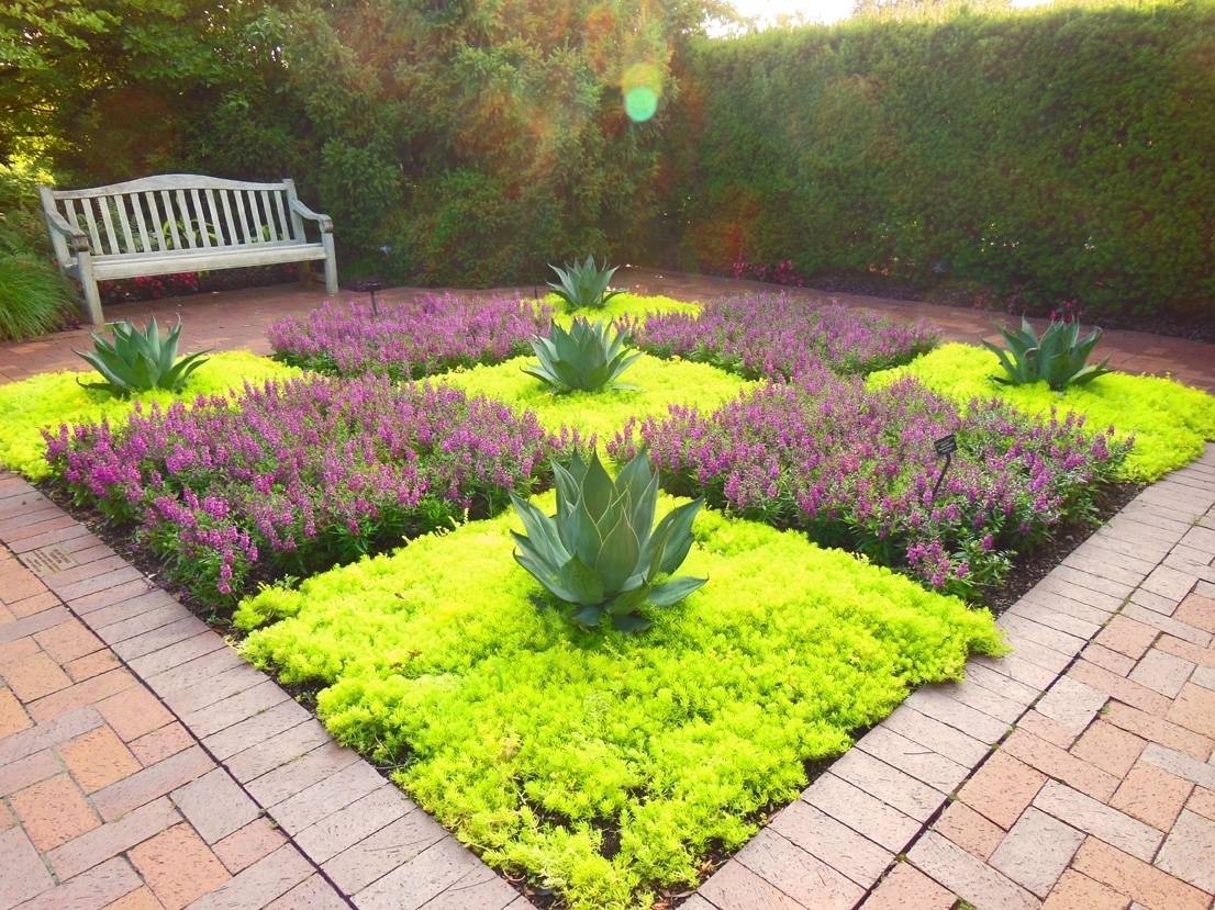 Drought Tolerant Garden