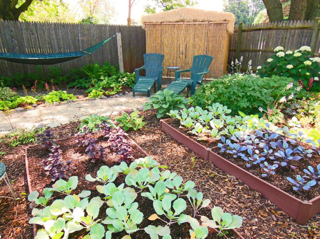Hosta Shade Garden Front Yard Landscaping Design