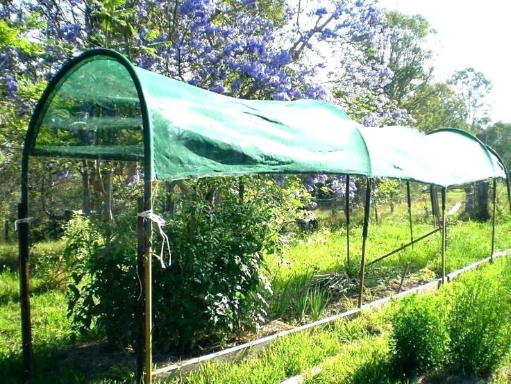 Diy Garden Shade Cloth Greenhouse