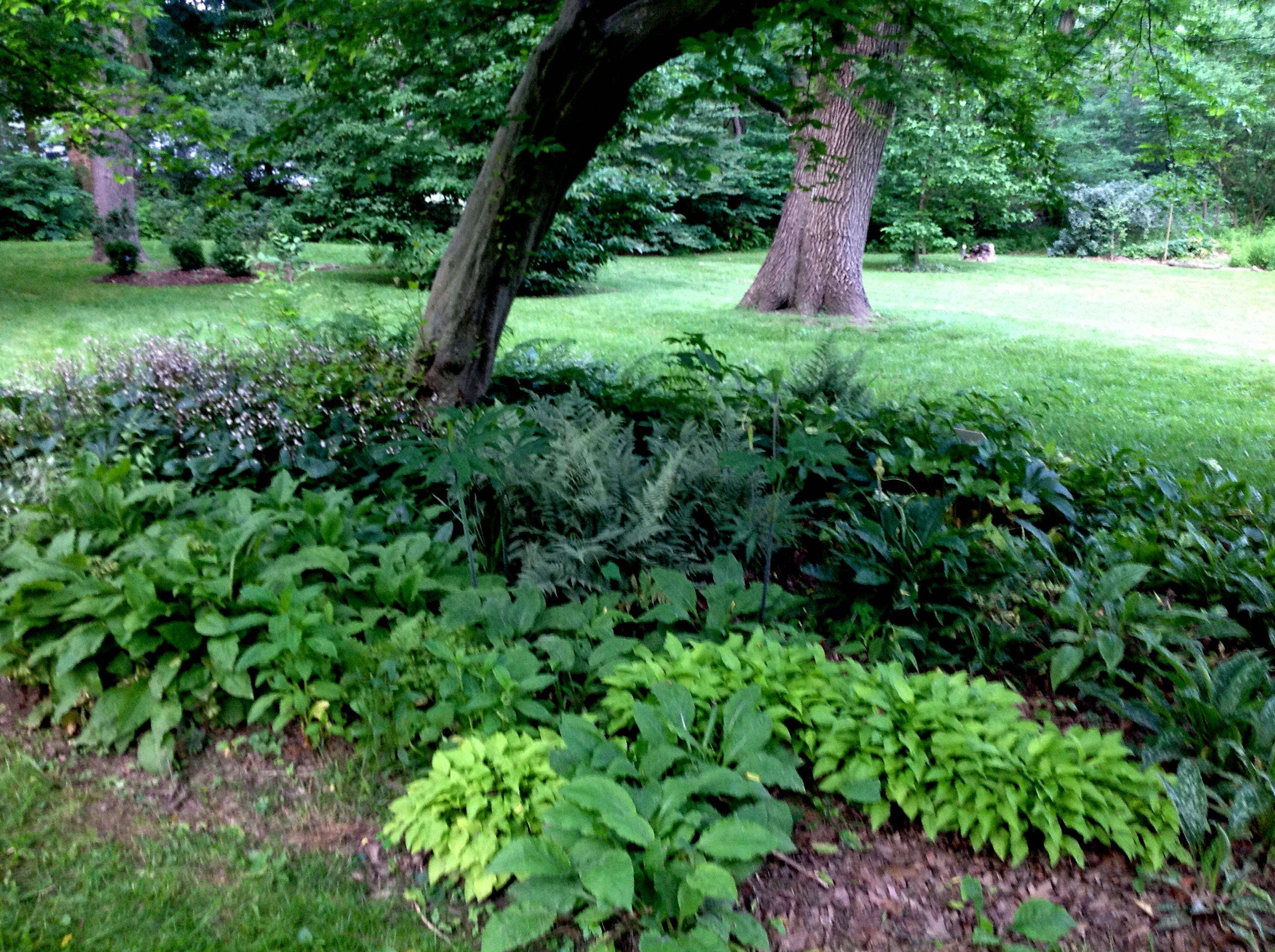 Excellent Shade Garden Design Ideas Page