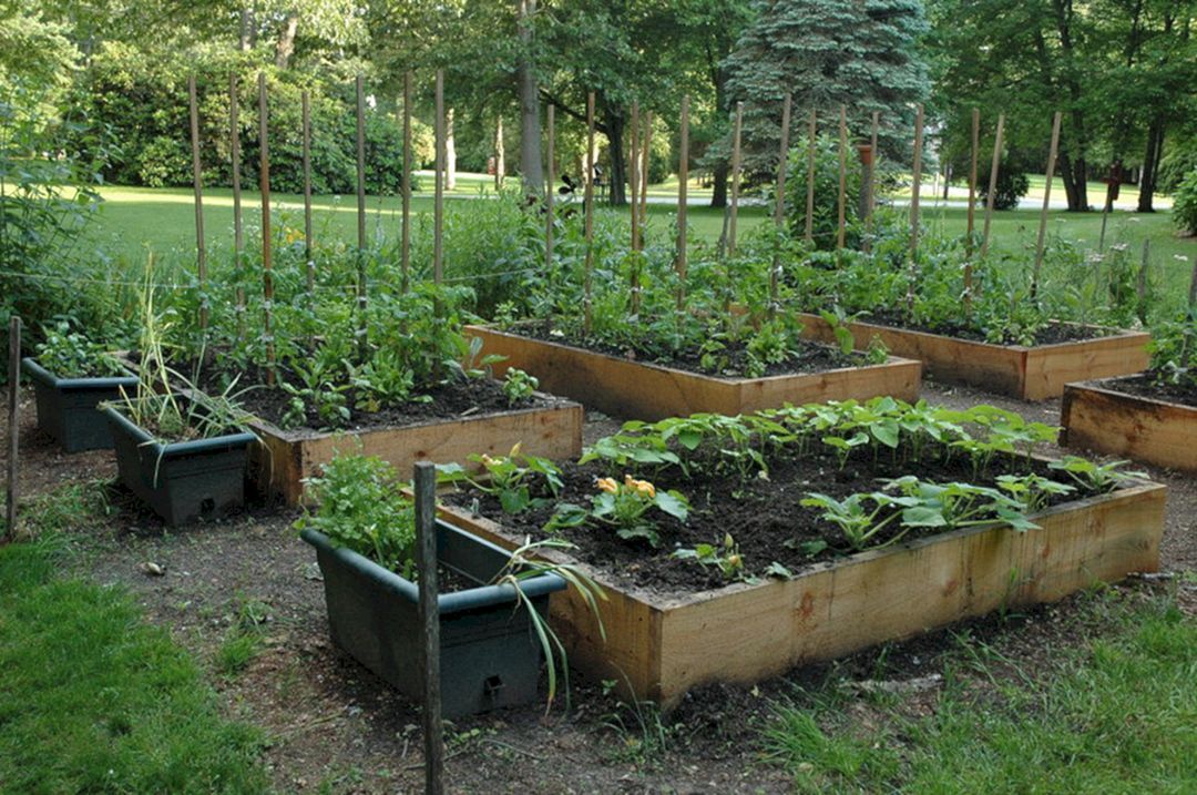 Healthier Vegetable Gardening Tips